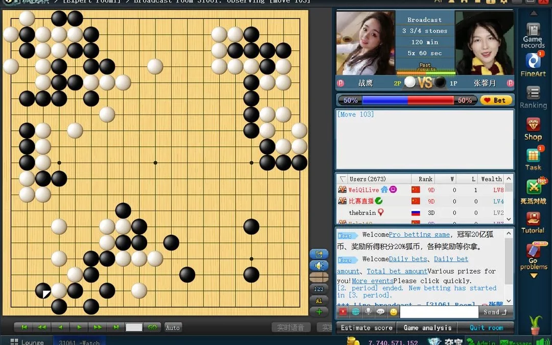 Installing Fox Weiqi on Windows and MacOS